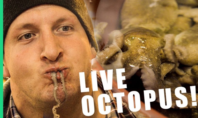 Would you eat a live octopus? - South Korea