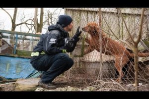 100+ Animals Rescued from Neglect