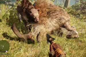 FAR CRY PRIMAL ANIMAL FIGHTS MONTAGE!!!