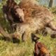 FAR CRY PRIMAL ANIMAL FIGHTS MONTAGE!!!