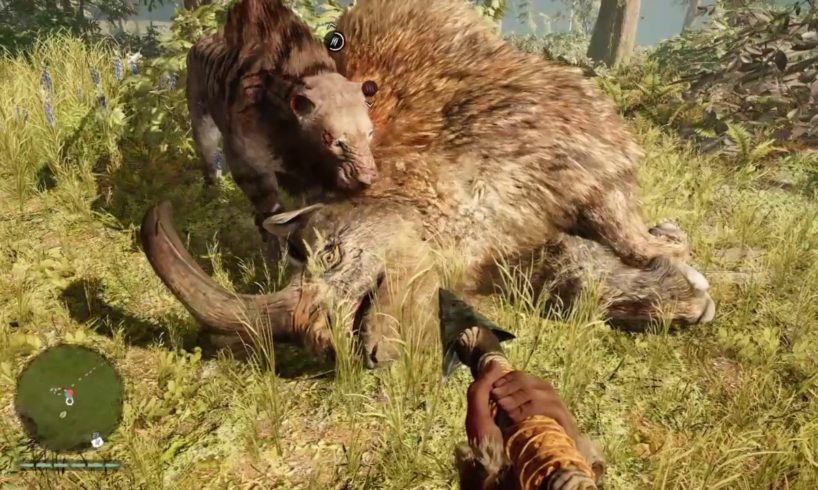 FAR CRY PRIMAL ANIMAL FIGHTS MONTAGE!!!