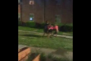 Hood fight