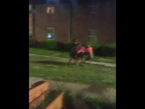 Hood fight