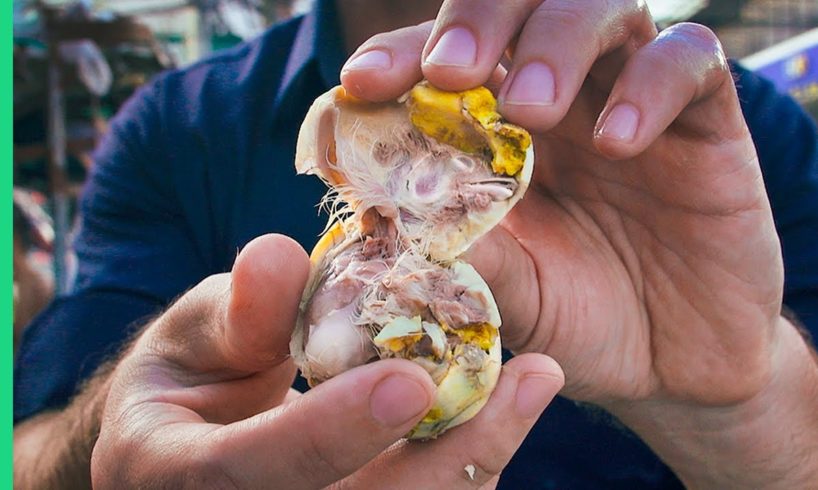 18 Day Chicken Balut in Cebu City + Colon Street Food Tour!