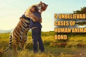 5 UNBELIEVABLE CASES OF HUMAN ANIMAL BOND