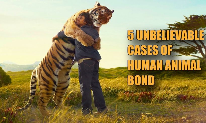 5 UNBELIEVABLE CASES OF HUMAN ANIMAL BOND