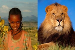 6 Unbelievable WILD Animals That Actually Saved People's Lives