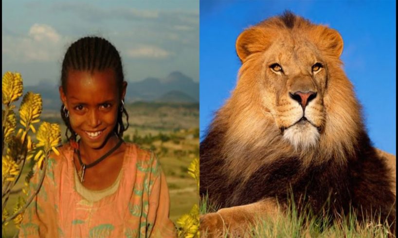 6 Unbelievable WILD Animals That Actually Saved People's Lives