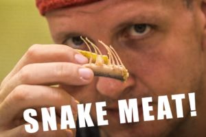 9 Reasons to eat snake in Taiwan