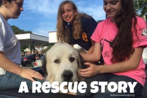 A Dog Rescue Story that will make you happy!!