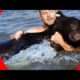 AMAZING animal rescue video! Brave man RESCUES DROWNING BEAR! The Bear LIVES!