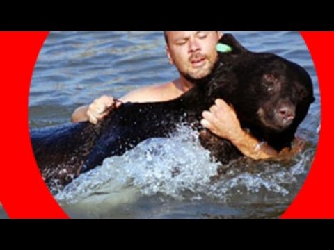 AMAZING animal rescue video! Brave man RESCUES DROWNING BEAR! The Bear LIVES!