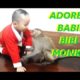 Adorable Babies Playing With Bibi Monkey || Funny Animals
