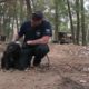 Alabama Animal Hoarding Rescue