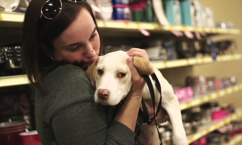 Alyssa and Lincoln Animal Adoption Story for PetSmart Charities® | Pet Rescue