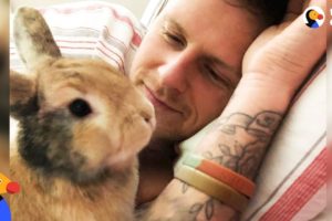 Amazing Rabbit Changes Man's Mind About Animals - CHIEF BRODY | The Dodo - Happy Father's Day!
