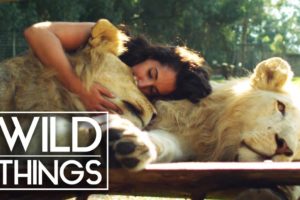 Animal Odd Couples: Animals And Their Humans [Full Documentary] | Wild Things