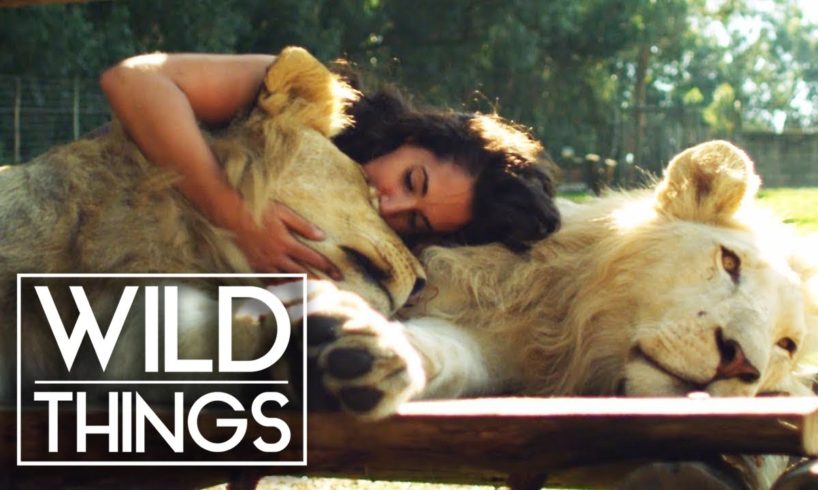 Animal Odd Couples: Animals And Their Humans [Full Documentary] | Wild Things