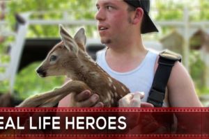 Animal Rescue Compilation 6 REAL LIFE HEROES