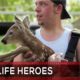 Animal Rescue Compilation 6 REAL LIFE HEROES