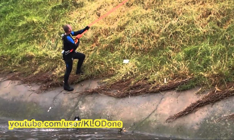 Animal Rescue: Dramatic Dog Rescue out of Flood Water