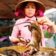 Asia’s SHOCKING Live Animal Market!!! Extreme Food Tour in the Mekong Delta!