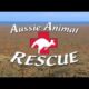 Ausie Animal Rescue