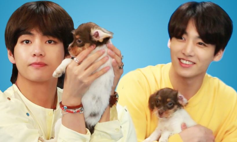 BTS Plays With Puppies While Answering Fan Questions