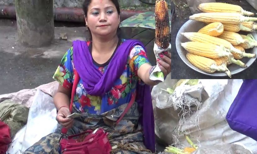 Beautiful Darjeeling Lady Selling Roasted Corn - Street Food at Darjeeling - Street Food India