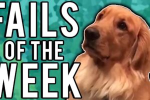 Best Fails of the Week #2 (February 2018) || FailUnited
