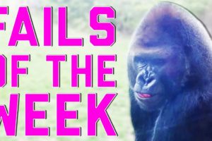 Best Fails of the Week 4 April 2015 || FailArmy