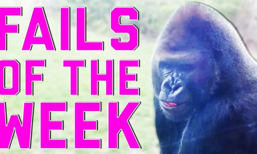 Best Fails of the Week 4 April 2015 || FailArmy