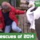 Best animal and wildlife rescues - Wildlife Aid
