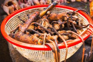 Bizarre Indonesian Jungle Food! Welcome to EXTREME Indonesian Cooking in North Sulawesi!