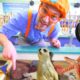 Blippi at the Zoo | Learn Animals for Children and Toddlers
