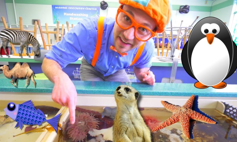 Blippi at the Zoo | Learn Animals for Children and Toddlers