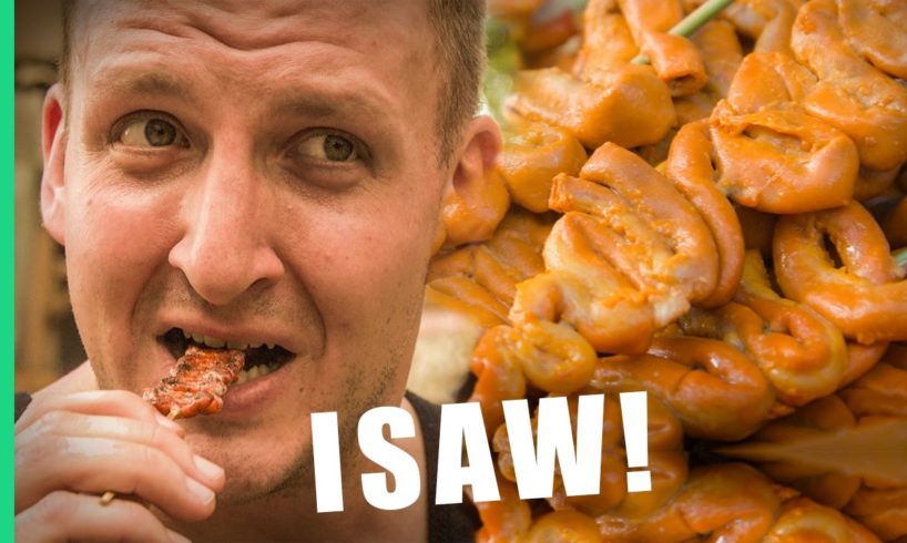 Chicken Intestine (Isaw) - Philippines [Best Ever Food Review Show]