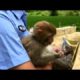 China Wild Animal Rescue
