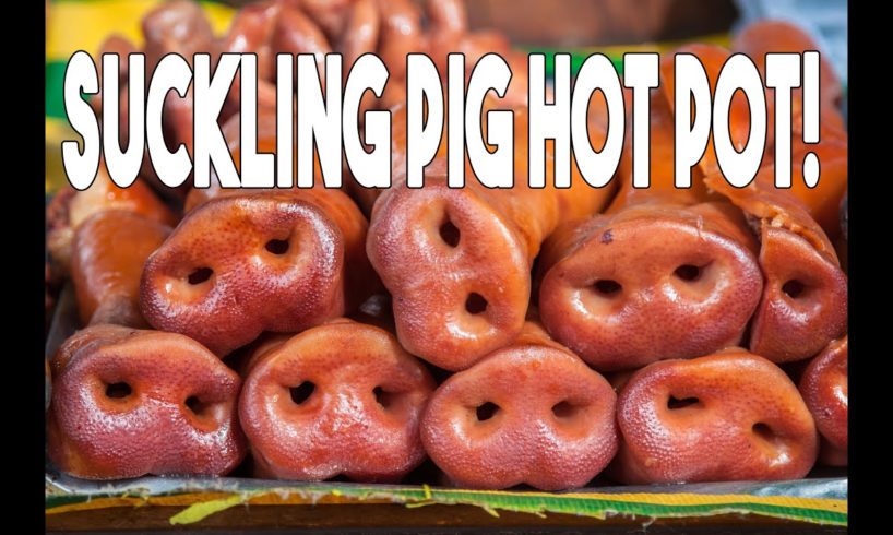 Chinese Street Food Market and the BEST Suckling Pig Chicken Hot Pot in China