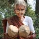 Coconut Rice || Coconut Milk Rice || By my 105 years old Grandma's