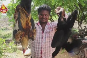 Cook Rooster Chicken-Country Chicken Recipe-Quick Chicken-Natu Kodi Recipe-Street Food