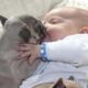 Cute Puppies Dogs Love and Playing With Baby - Funny Baby Video
