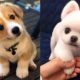 Cute Puppies - Funny Baby Dogs - Funny Puppy Video - Funny Dog Videos