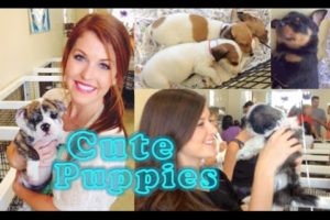 Cute Puppies & Bridesmaid dress shopping | Rachel Wynn