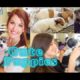 Cute Puppies & Bridesmaid dress shopping | Rachel Wynn