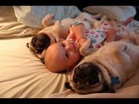 Cutest Puppies and Babies -  !NEW 2018! Compilation