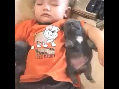 Cutest Video of The Year - Cute Puppies Sleeping With Baby