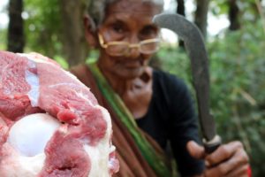 Delicious Bull Curry Recipe Indian Masala by my grand mother