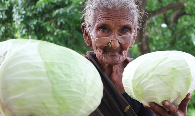 Delicious Cabbage Recipe By Mastanamma
