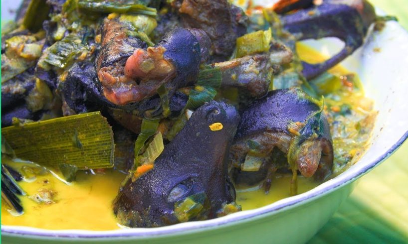 Eating BAT SOUP in North Sulawesi, Indonesia! What if I told you it’s actually good?